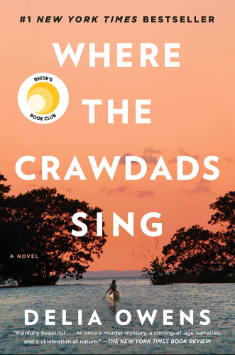 Where the Crawdads Sing short book summary