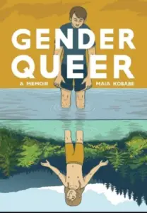 gender queer book summary