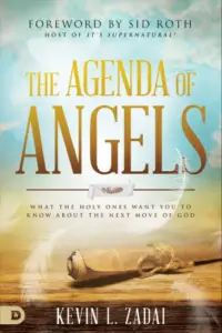 The Agenda of Angels: What the Holy Ones Want You to Know About the Next Move of God book summary
