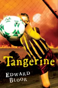 Tangerine book summary