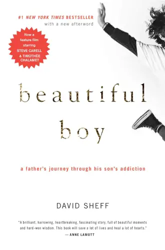 Beautiful Boy: A Father's Journey Through His Son's Addiction book summary
