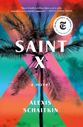 Saint X: A Novel book summary